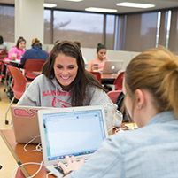 Students work together in the library.
