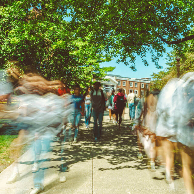 A dynamic scene on a college campus walkway under a canopy of lush green trees. A large group of people is seen walking on the path, with a sense of motion blur indicating movement, giving the scene a bustling and lively atmosphere. The trees and bright greenery frame the walkway on both sides, casting dappled shadows on the path. In the background, a red-brick academic building with white-trimmed windows is visible, adding to the classic campus setting.